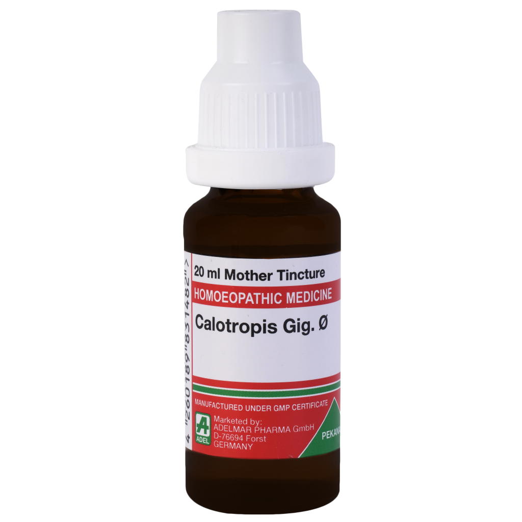 Adel Calotropis Gigantea 1X (Q) (20ml)